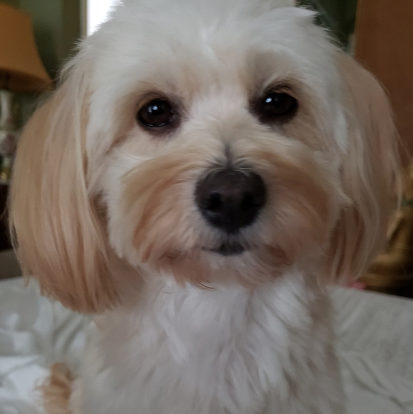 Massy xoxo ♡ - Picture 7 of 16